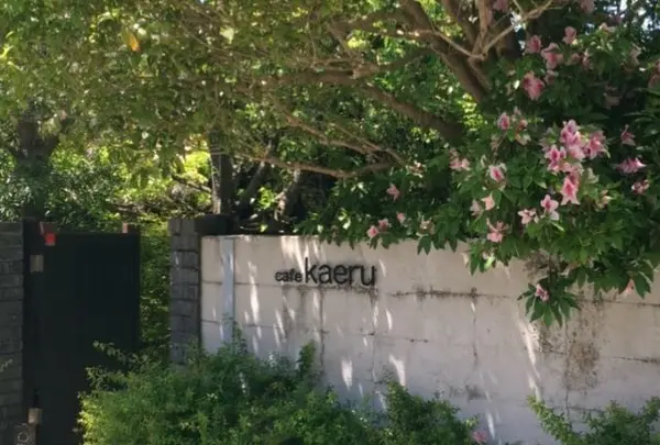 cafe kaeru