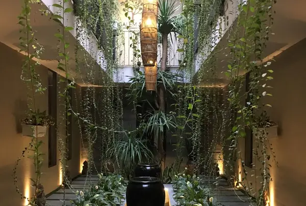 Salem Spa Garden