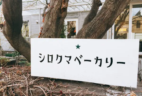 シロクマベーカリー 本店の写真・動画_image_238073