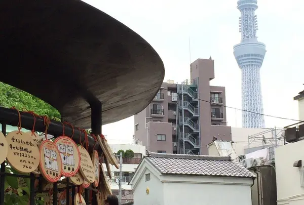 今戸神社の写真・動画_image_238503
