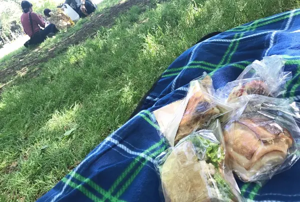 砧公園