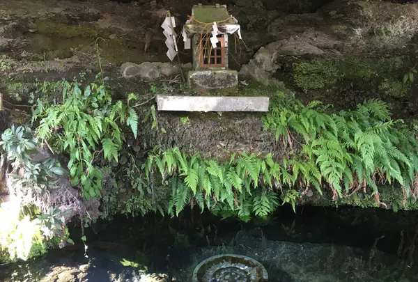 鏡ケ池の写真・動画_image_239176
