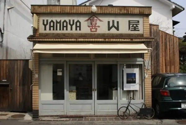 １０センチ