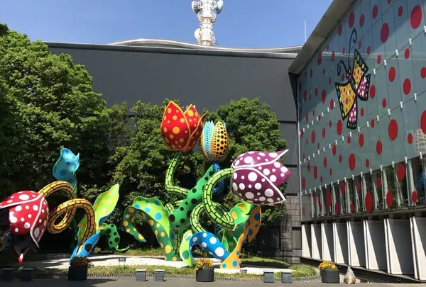 松本市美術館の写真・動画_image_239599