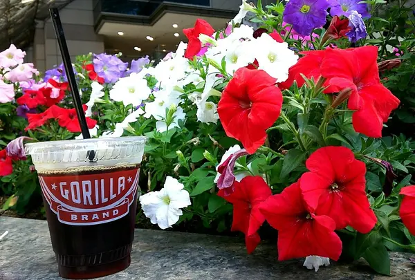 ゴリラ コーヒー エソラ池袋店