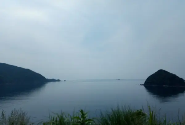 世久見湾