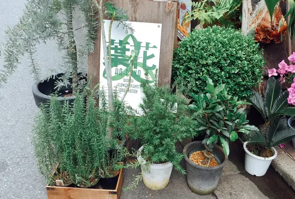 葉花