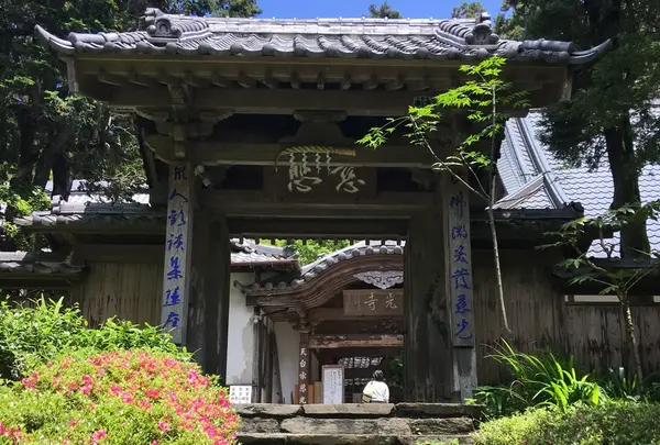 慈光寺の写真・動画_image_241282