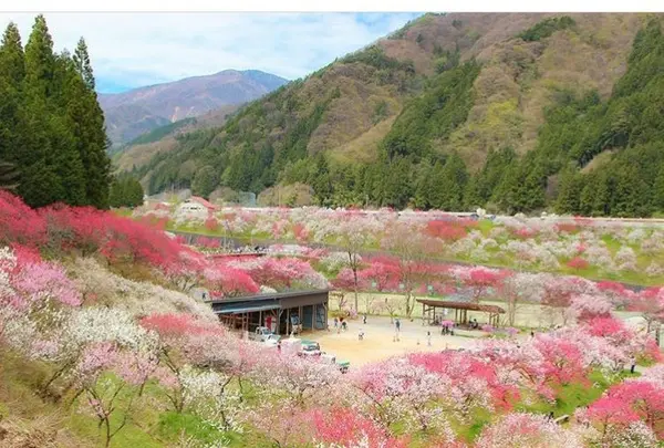 月川の写真・動画_image_241707