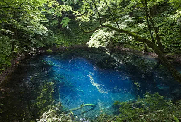 十二湖