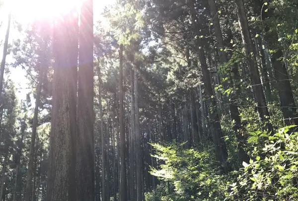 御岳山
