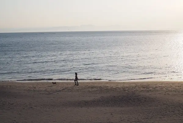 森戸海岸の写真・動画_image_242542