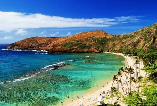 Hanauma Bay（ハナウマ湾）