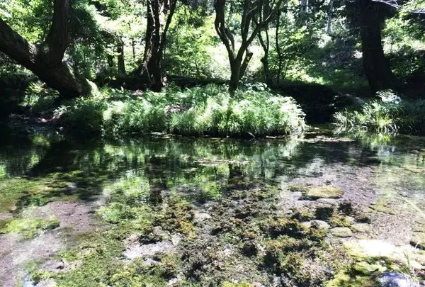 山吹水源