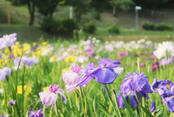 岡崎市東公園動物園