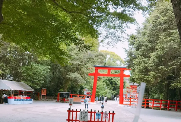糺ノ森の写真・動画_image_244088