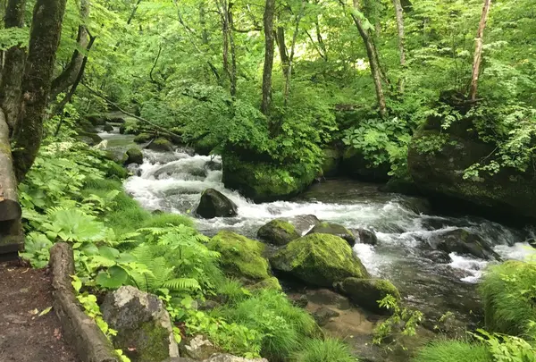 奥入瀬渓流