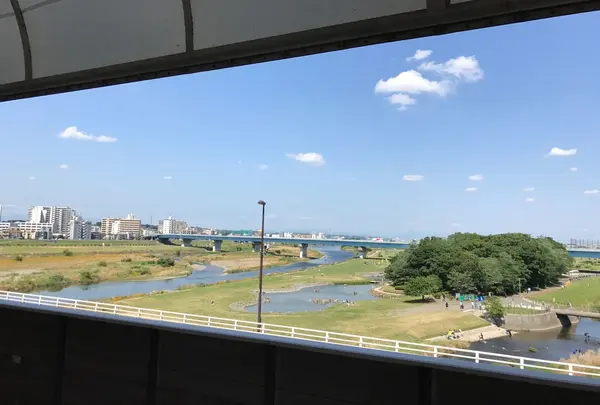 二子玉川 多摩川の河川敷の写真・動画_image_245848