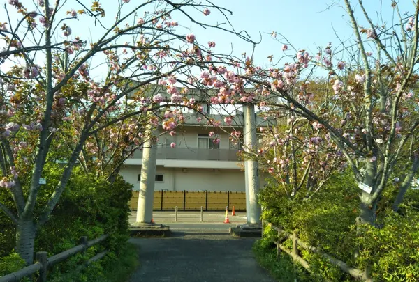 垣生公園