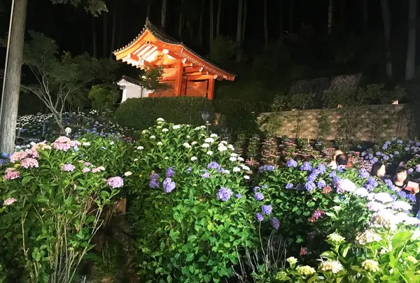 三室戸寺