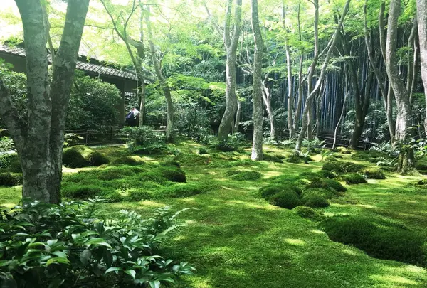 祇王寺