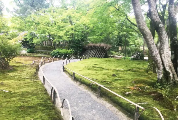 宝厳院の写真・動画_image_246303
