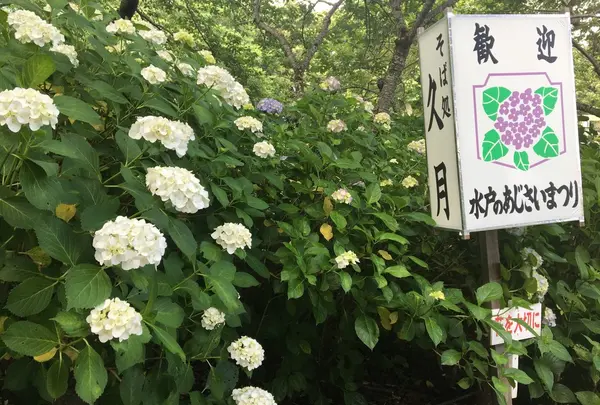 保和苑