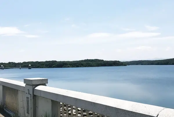 狭山湖
