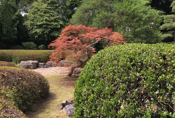 中院の写真・動画_image_247195