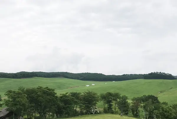 鹿角平観光牧場の写真・動画_image_247448