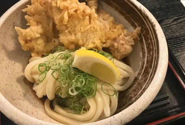 讃岐うどん 白庵の写真・動画_image_247876