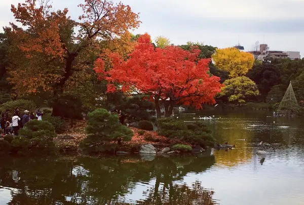 清澄庭園