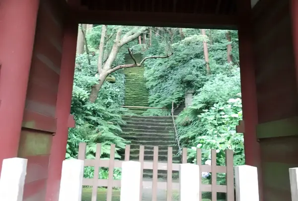 妙法寺（日蓮宗）の写真・動画_image_248503
