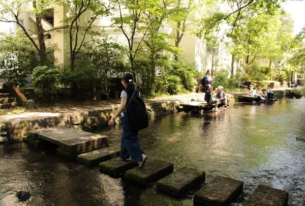源兵衛川親水公園