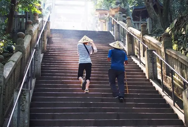 琴平山