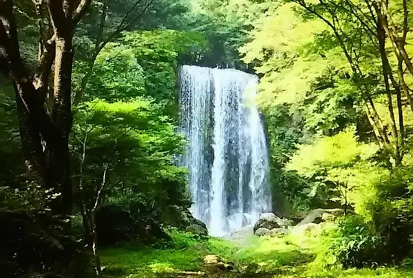 ゆうすい自然の森(旧 遊水峡キャンプ場)