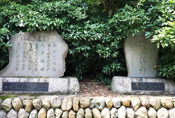 三芳野神社の写真・動画_image_249289