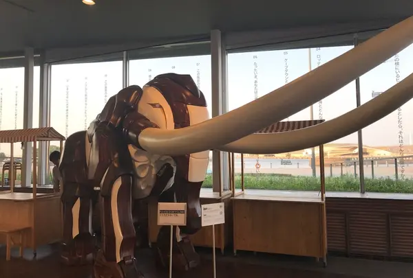 象の鼻パークの写真・動画_image_249655