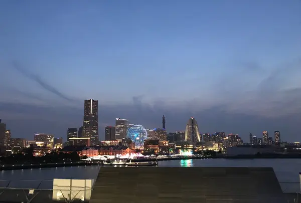 横浜港大さん橋国際客船ターミナル（大さん橋）