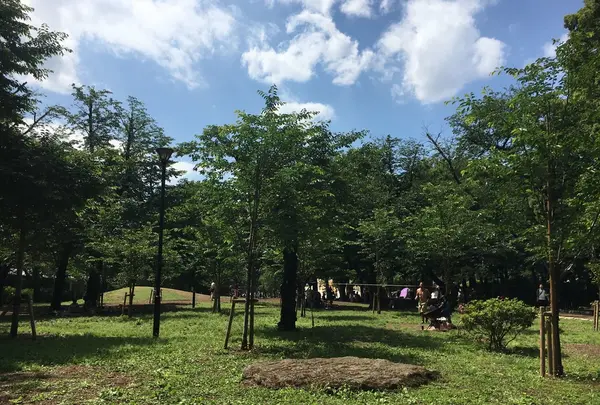 飛鳥山公園