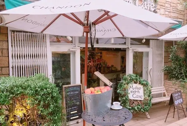 Mother earth Cafeの写真・動画_image_250716