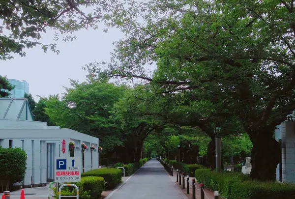 青山霊園