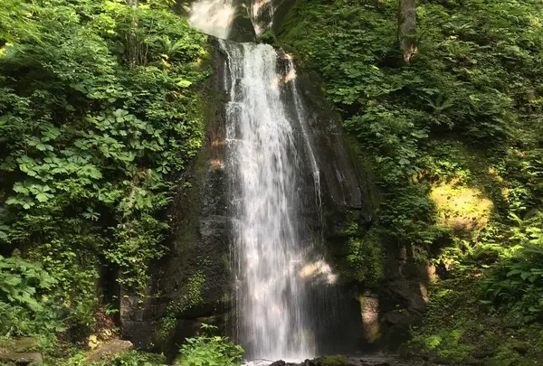 奥入瀬渓流
