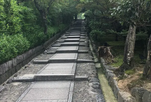 ねねの道の写真・動画_image_251382