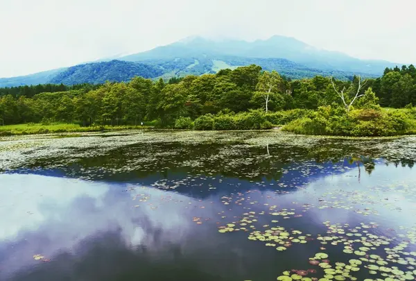 妙高高原（いもり池）
