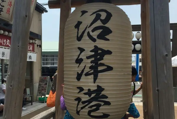 沼津港飲食店街の写真・動画_image_252064