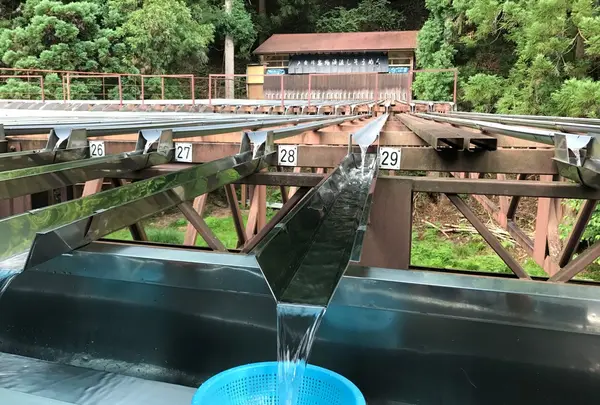 【閉業】滝流しそうめんの写真・動画_image_252254