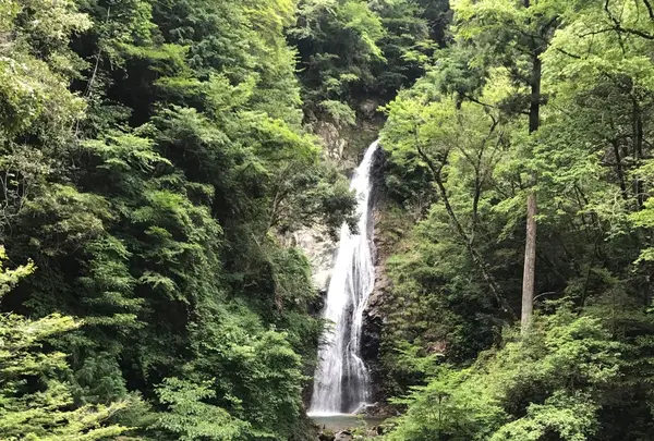 原不動滝の写真・動画_image_252256