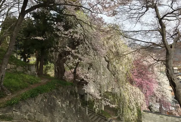 烏帽子山公園