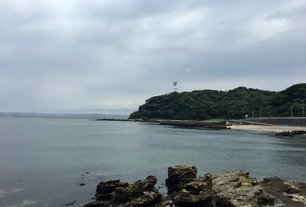 観音崎公園の写真・動画_image_252865